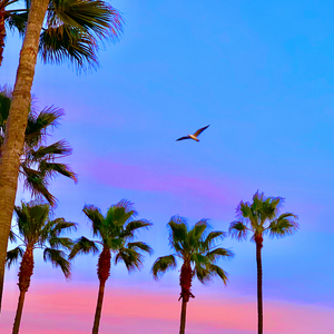 亚洲欧美影音先锋
