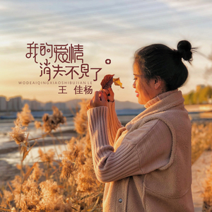 亚洲欧美影音先锋
